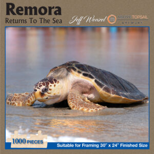 Puzzle: Remora Returns To The Sea (JW167)